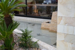 ���ڤ�Ź�ޡʥԥåĥ����ѥ����ˡ��С������빩��