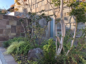 ��ˬŴʿ�Ф��ɡ�(���Ԥν������š��