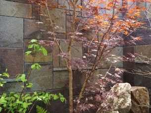 ��ˬŴʿ�Ф��ɣ�